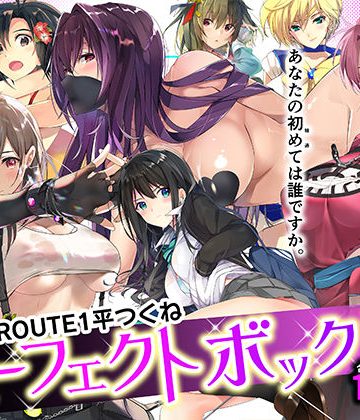 【同人緑】ROUTE1 平つくね パーフェクトボックス｜ROUTE1
